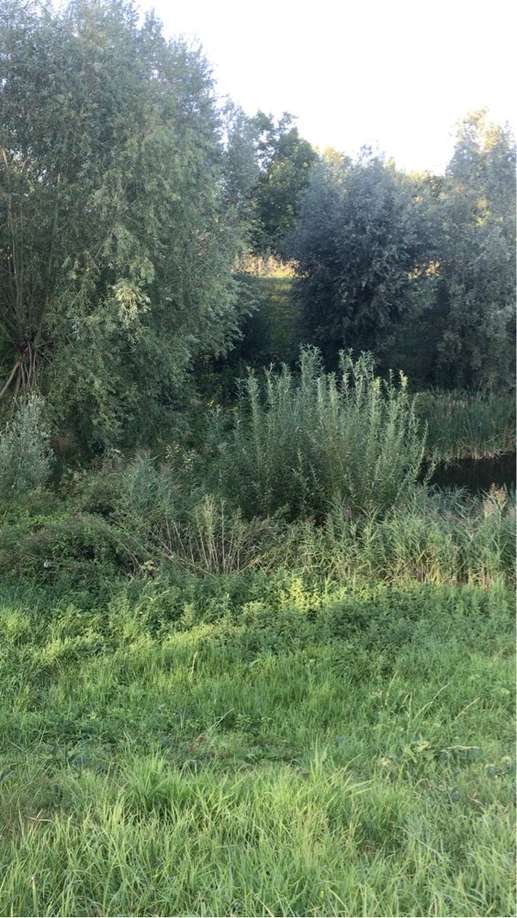 Añadió una foto a una ubicación