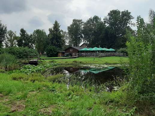 Added a photo to a location
