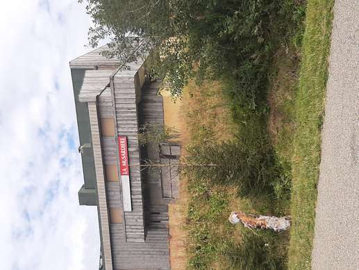 Added a photo to a location