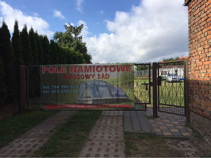 Pole Owocowy Sad