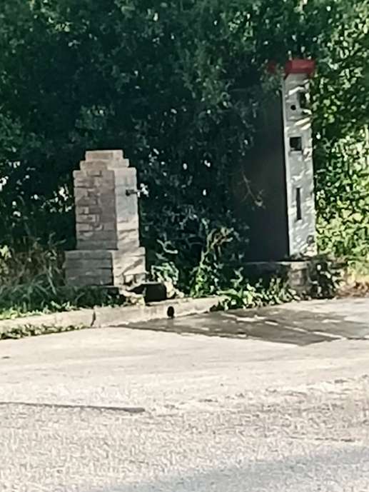 Added a photo to a location