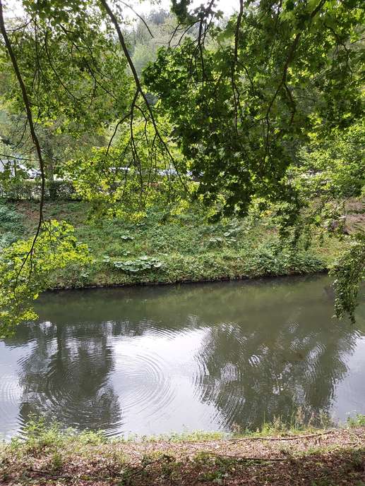 Added a photo to a location