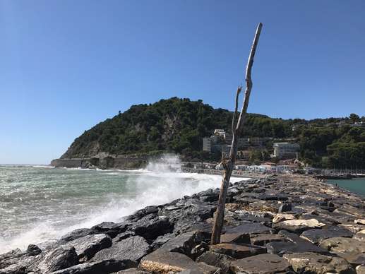 Añadió una foto a una ubicación
