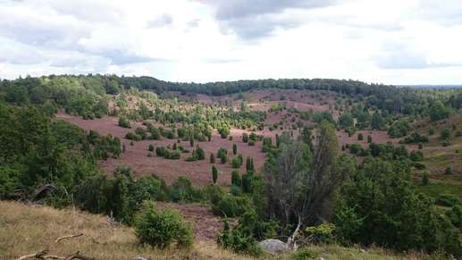 Added a photo to a location