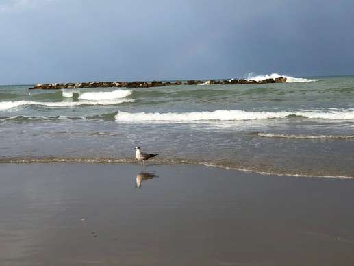 Een foto toegevoegd aan een locatie