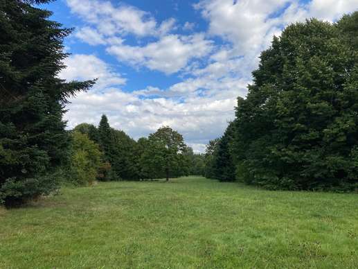 Een foto toegevoegd aan een locatie