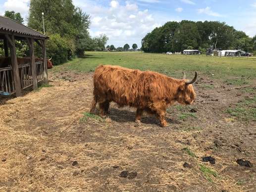Een foto toegevoegd aan een locatie
