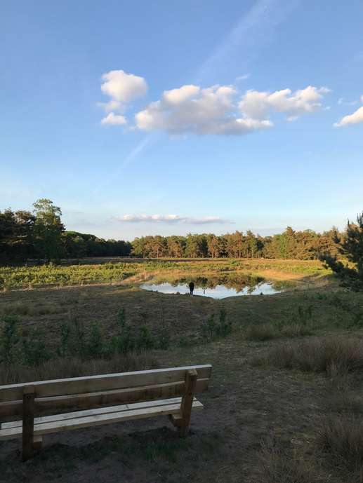 Een foto toegevoegd aan een locatie
