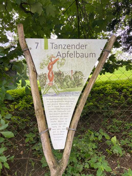 Een foto toegevoegd aan een locatie