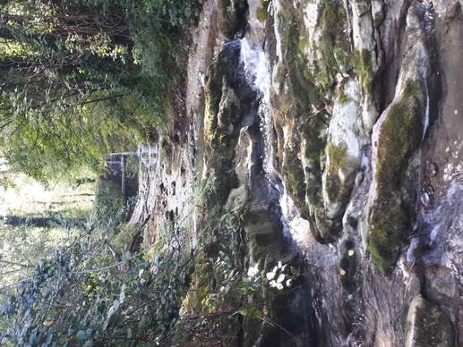 Added a photo to a location