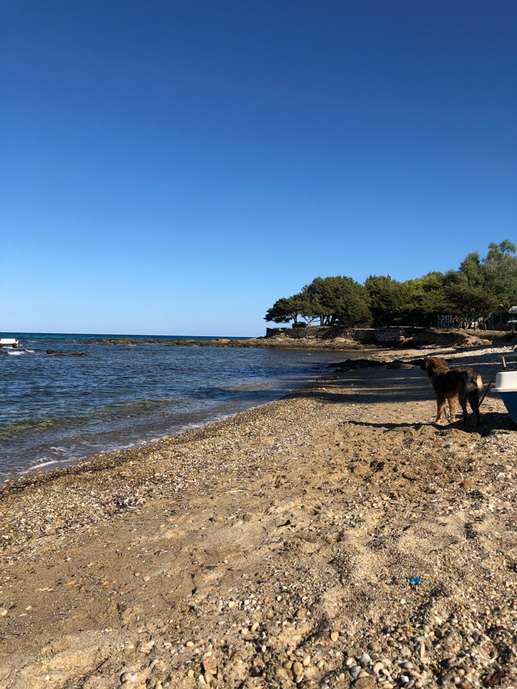 Added a photo to a location