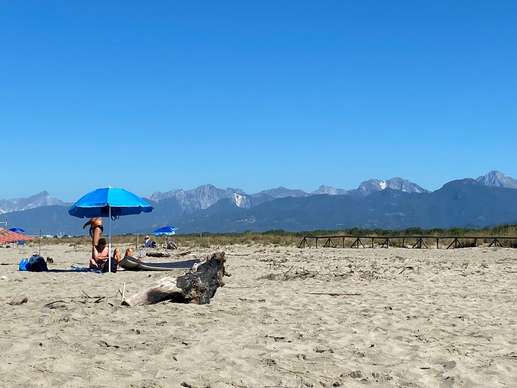 Added a photo to a location