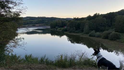 Einem Ort wurde ein Foto hinzugefügt