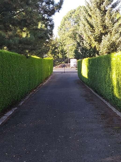 Added a photo to a location