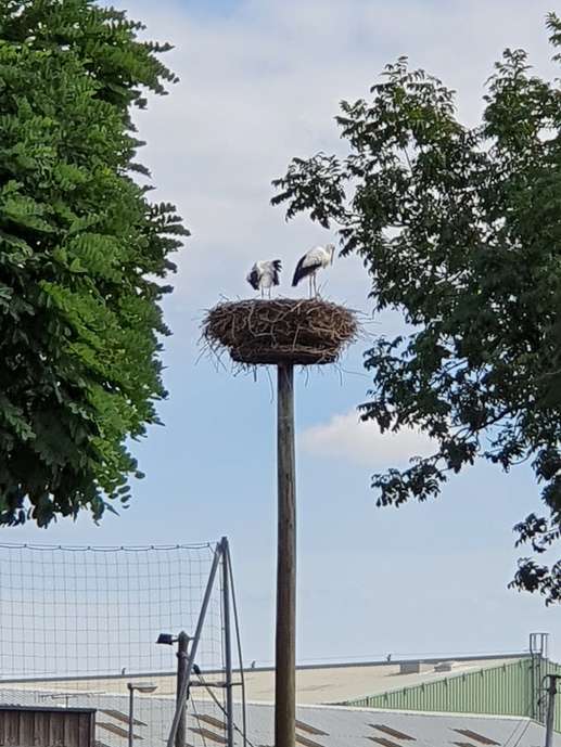 Einem Ort wurde ein Foto hinzugefügt