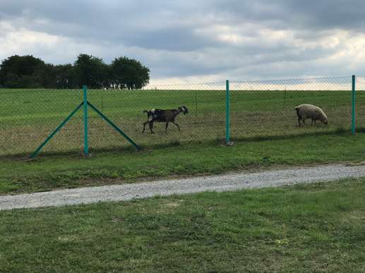 Een foto toegevoegd aan een locatie