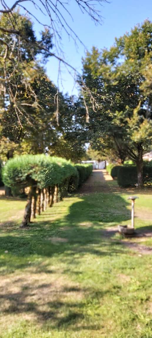 Added a photo to a location