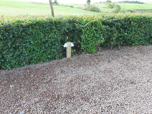 Added a photo to a location