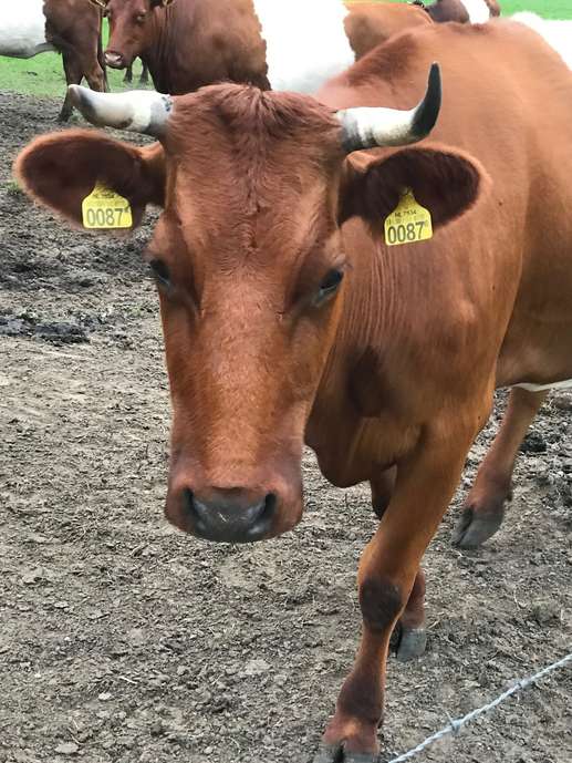 Aggiunta una foto a una posizione