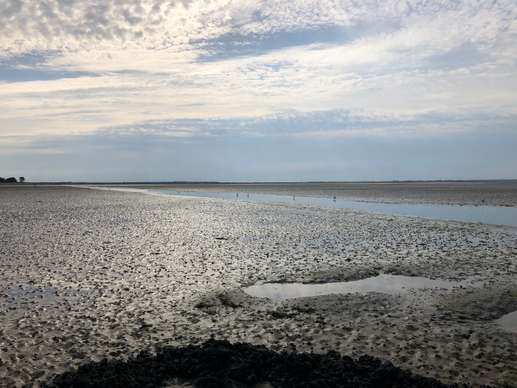 Added a photo to a location