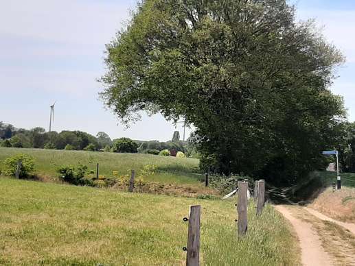 Added a photo to a location