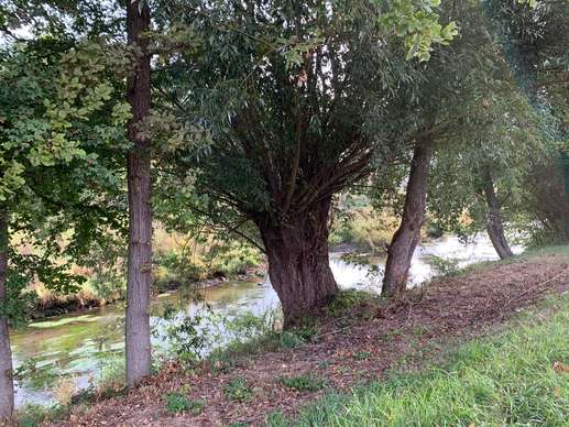 Added a photo to a location