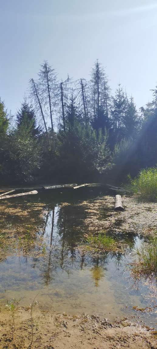Camping De Kleine Schuif