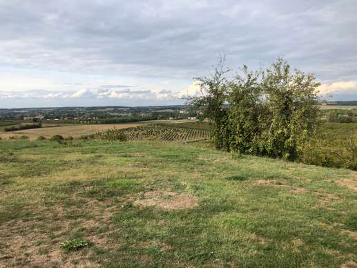 Added a photo to a location