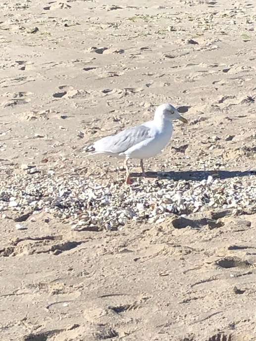 Added a photo to a location