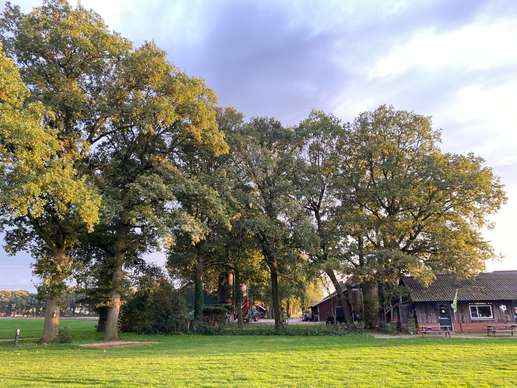 Added a photo to a location