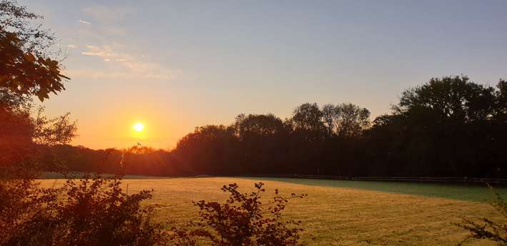 Woodside Field 