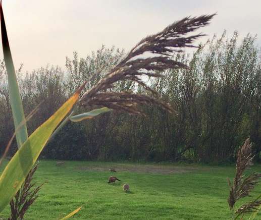 Einem Ort wurde ein Foto hinzugefügt