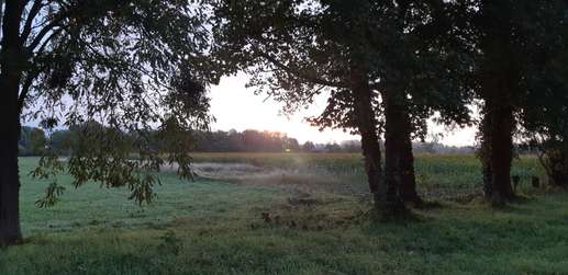 Een foto toegevoegd aan een locatie