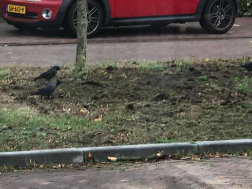 Añadió una foto a una ubicación
