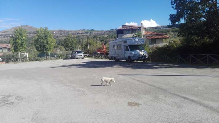 Area Comunale