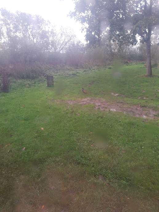 Aggiunta una foto a una posizione