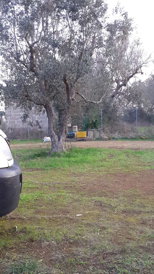 Añadió una foto a una ubicación