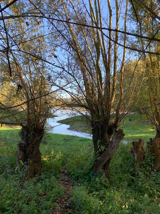 Added a photo to a location