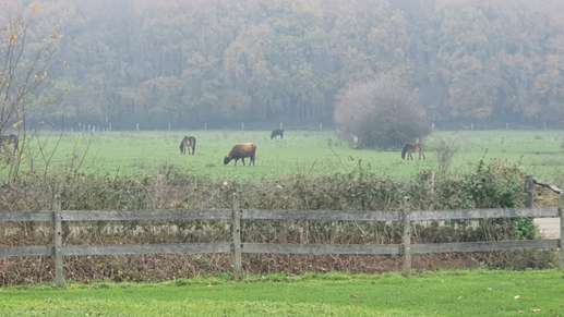 Een foto toegevoegd aan een locatie