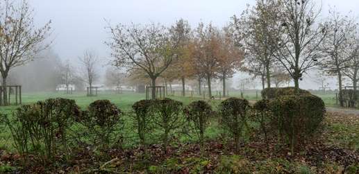 Een foto toegevoegd aan een locatie