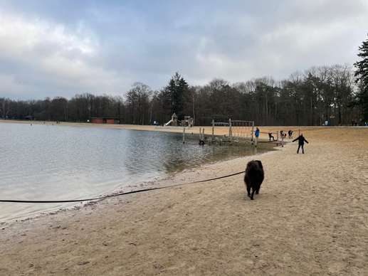 Added a photo to a location