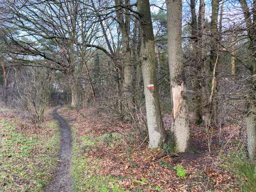 Een foto toegevoegd aan een locatie