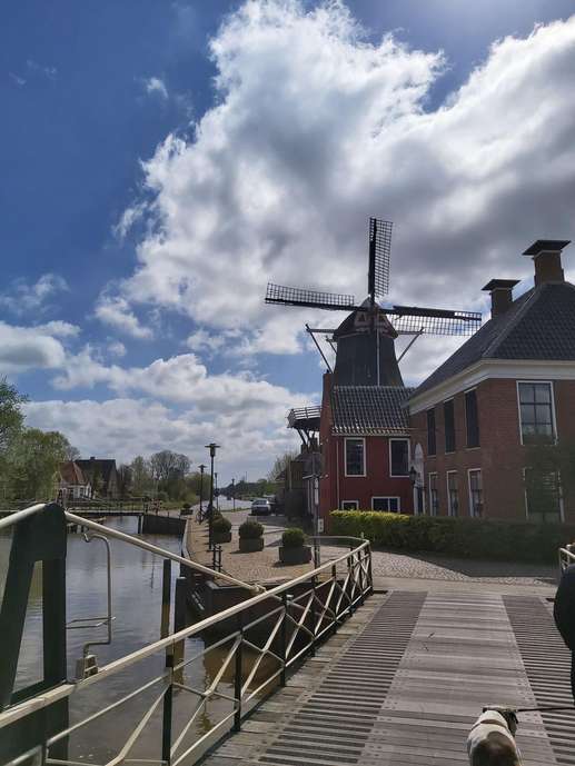 Added a photo to a location