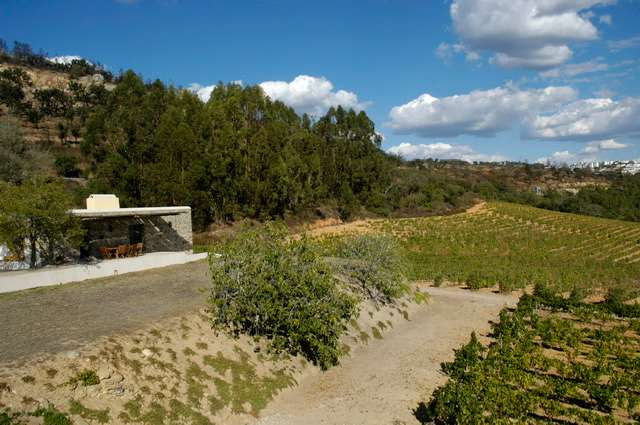 Winery Monte da Penha