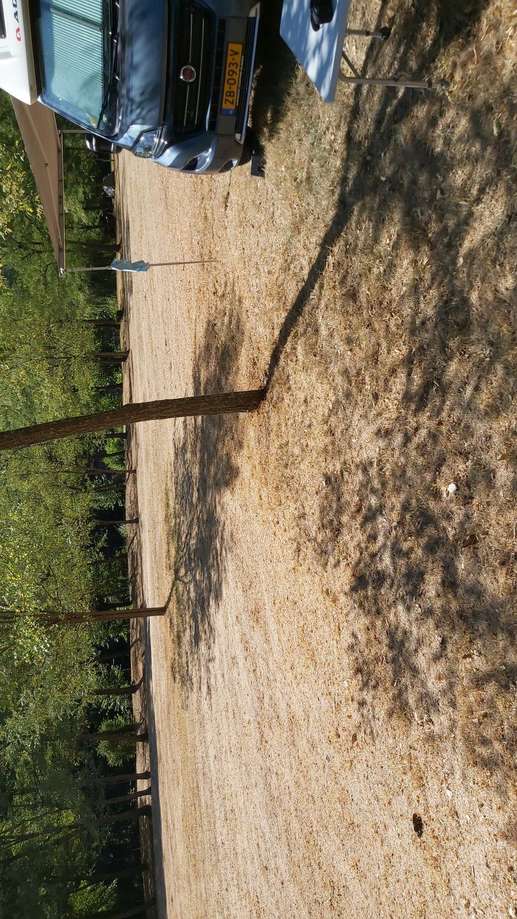 Added a photo to a location