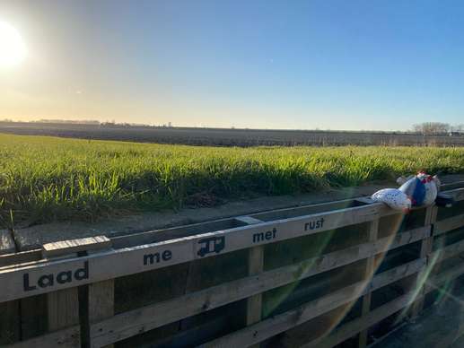 Een foto toegevoegd aan een locatie