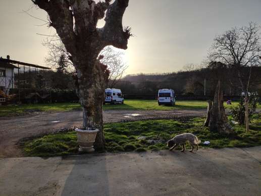 Added a photo to a location