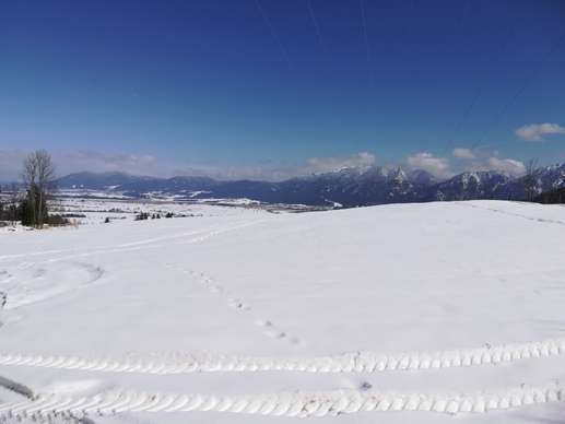 Added a photo to a location