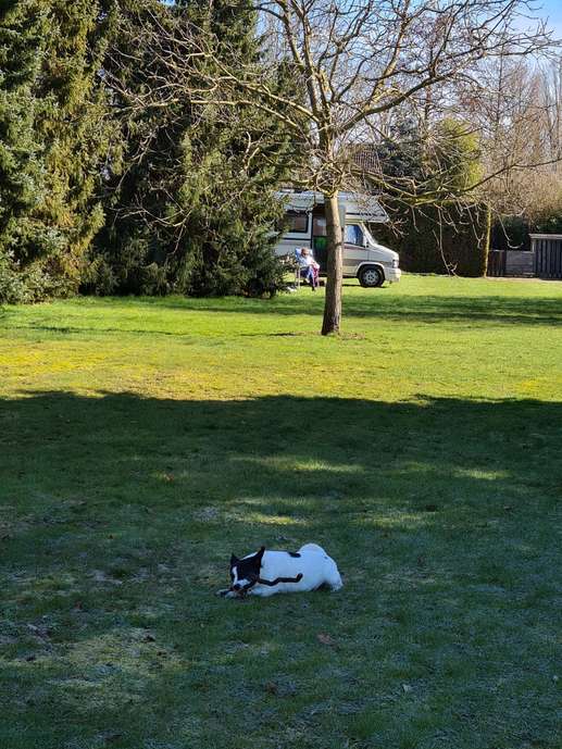 Added a photo to a location