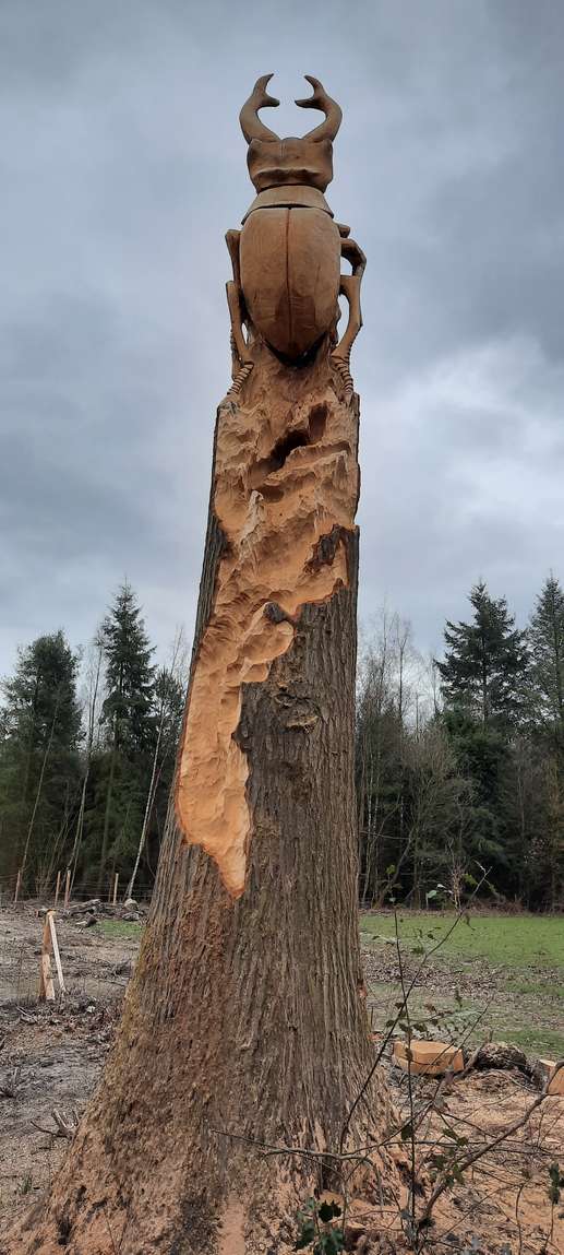 Aggiunta una foto a una posizione